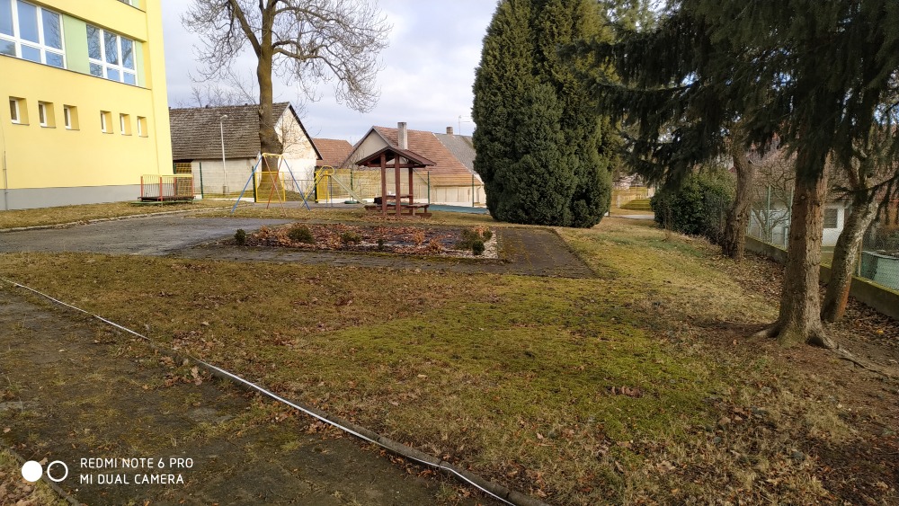 Ms Bozejov (1)